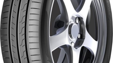 DUNLOP  - SPORT BLURESPONSE