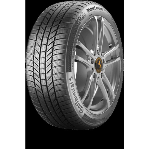 225/55R16 95H WinterContact TS 870 P